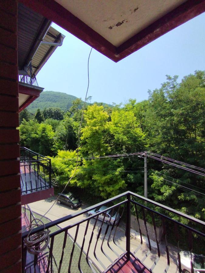 Vila Marko 니슈카 바냐 외부 사진
